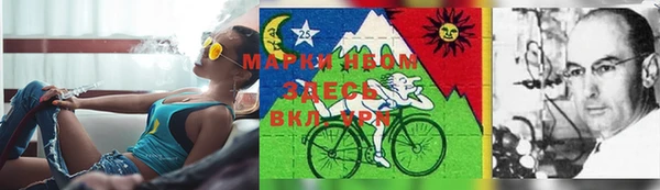 ПСИЛОЦИБИНОВЫЕ ГРИБЫ Белоозёрский