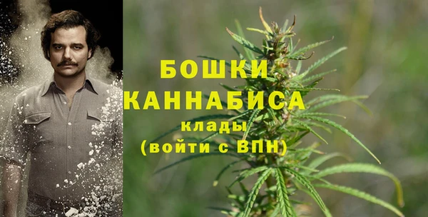 ПСИЛОЦИБИНОВЫЕ ГРИБЫ Белоозёрский