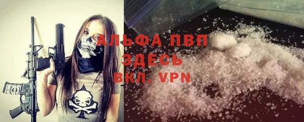 ПСИЛОЦИБИНОВЫЕ ГРИБЫ Белоозёрский